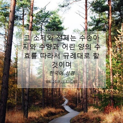 Picture 07 - 민수기 29:18 KOR - 그 소제와 전제는 수송아지와 수양과 - Bible Verse Picture