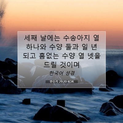 Picture 07 - 민수기 29:20 KOR - 세째 날에는 수송아지 열 하나와 - Bible Verse Picture