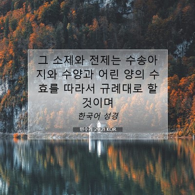 Picture 07 - 민수기 29:21 KOR - 그 소제와 전제는 수송아지와 수양과 - Bible Verse Picture