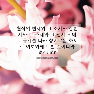 Picture 07 - 민수기 29:6 KOR - 월삭의 번제와 그 소제와 상번제와 - Bible Verse Picture