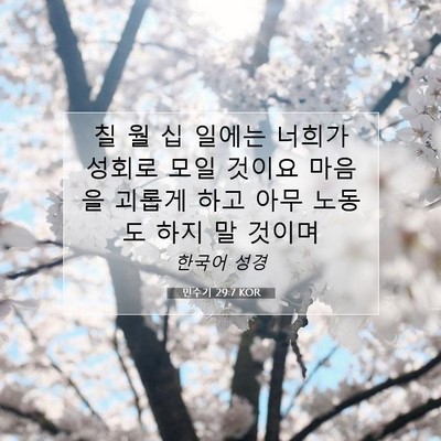 Picture 07 - 민수기 29:7 KOR - 칠 월 십 일에는 너희가 성회로 모일 - Bible Verse Picture