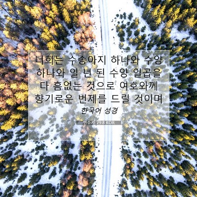 Picture 07 - 민수기 29:8 KOR - 너희는 수송아지 하나와 수양 하나와 - Bible Verse Picture