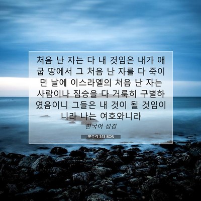 Picture 07 - 민수기 3:13 KOR - 처음 난 자는 다 내 것임은 내가 애굽 - Bible Verse Picture