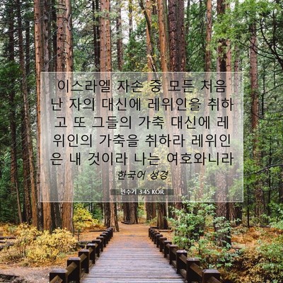 Picture 07 - 민수기 3:45 KOR - 이스라엘 자손 중 모든 처음 난 자의 - Bible Verse Picture