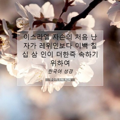Picture 07 - 민수기 3:46 KOR - 이스라엘 자손의 처음 난 자가 - Bible Verse Picture