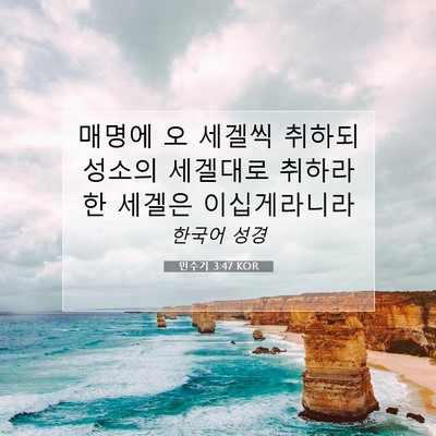 Picture 07 - 민수기 3:47 KOR - 매명에 오 세겔씩 취하되 성소의 - Bible Verse Picture
