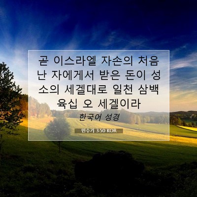 Picture 07 - 민수기 3:50 KOR - 곧 이스라엘 자손의 처음 난 - Bible Verse Picture