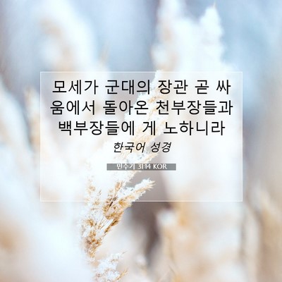 Picture 07 - 민수기 31:14 KOR - 모세가 군대의 장관 곧 싸움에서 - Bible Verse Picture