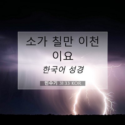 Picture 07 - 민수기 31:33 KOR - 소가 칠만 - Bible Verse Picture
