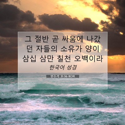 Picture 07 - 민수기 31:36 KOR - 그 절반 곧 싸움에 나갔던 자들의 - Bible Verse Picture