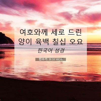 Picture 07 - 민수기 31:37 KOR - 여호와께 세로 드린 양이 육백 칠십 - Bible Verse Picture
