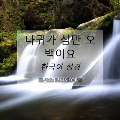 Picture 07 - 민수기 31:45 KOR - 나귀가 삼만 - Bible Verse Picture