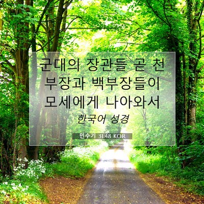 Picture 07 - 민수기 31:48 KOR - 군대의 장관들 곧 천부장과 - Bible Verse Picture
