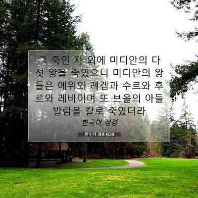 Picture 07 - 민수기 31:8 KOR - 그 죽인 자 외에 미디안의 다섯 왕을 - Bible Verse Picture