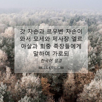 Picture 07 - 민수기 32:2 KOR - 갓 자손과 르우벤 자손이 와서 - Bible Verse Picture