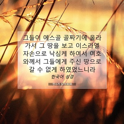 Picture 07 - 민수기 32:9 KOR - 그들이 에스골 골짜기에 올라가서 그 - Bible Verse Picture