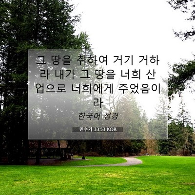 Picture 07 - 민수기 33:53 KOR - 그 땅을 취하여 거기 거하라 내가 그 - Bible Verse Picture
