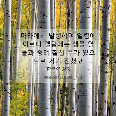 Picture 07 - 민수기 33:9 KOR - 마라에서 발행하여 엘림에 이르니 - Bible Verse Picture