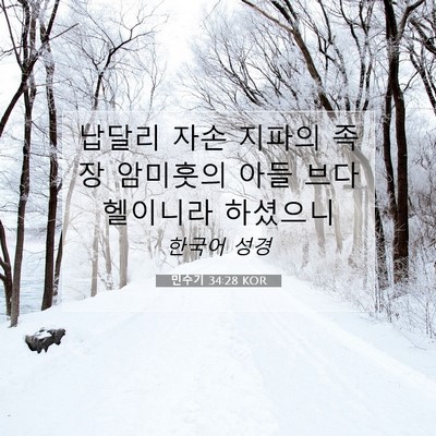 Picture 07 - 민수기 34:28 KOR - 납달리 자손 지파의 족장 암미훗의 - Bible Verse Picture