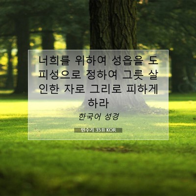 Picture 07 - 민수기 35:11 KOR - 너희를 위하여 성읍을 도피성으로 - Bible Verse Picture