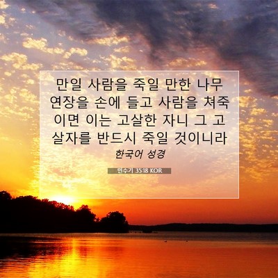 Picture 07 - 민수기 35:18 KOR - 만일 사람을 죽일 만한 나무 연장을 - Bible Verse Picture