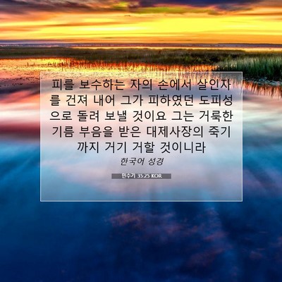 Picture 07 - 민수기 35:25 KOR - 피를 보수하는 자의 손에서 살인자를 - Bible Verse Picture