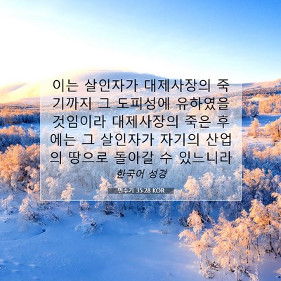 Picture 07 - 민수기 35:28 KOR - 이는 살인자가 대제사장의 죽기까지 - Bible Verse Picture
