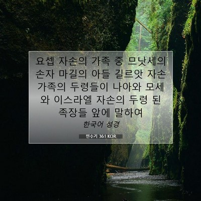 Picture 07 - 민수기 36:1 KOR - 요셉 자손의 가족 중 므낫세의 손자 - Bible Verse Picture