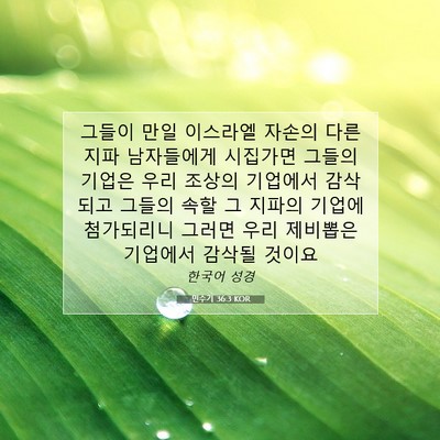 Picture 07 - 민수기 36:3 KOR - 그들이 만일 이스라엘 자손의 다른 - Bible Verse Picture
