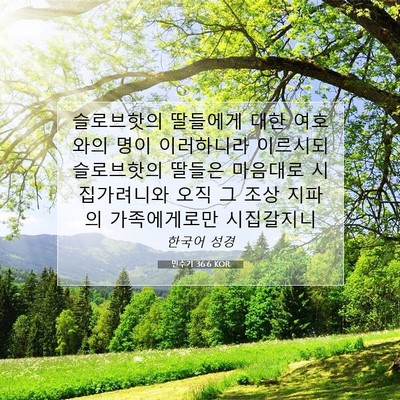 Picture 07 - 민수기 36:6 KOR - 슬로브핫의 딸들에게 대한 여호와의 - Bible Verse Picture