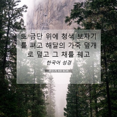 Picture 07 - 민수기 4:11 KOR - 또 금단 위에 청색 보자기를 펴고 - Bible Verse Picture