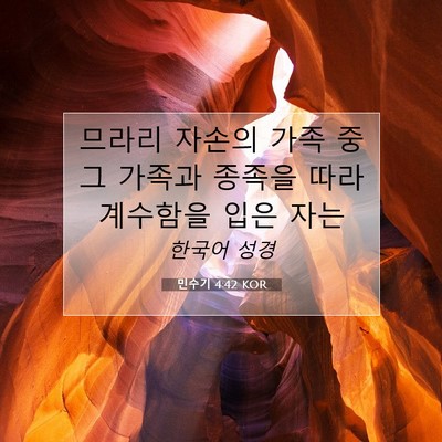 Picture 07 - 민수기 4:42 KOR - 므라리 자손의 가족 중 그 가족과 - Bible Verse Picture