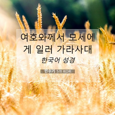 Picture 07 - 민수기 5:11 KOR - 여호와께서 모세에게 일러 - Bible Verse Picture
