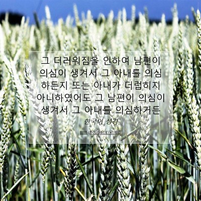 Picture 07 - 민수기 5:14 KOR - 그 더러워짐을 인하여 남편이 의심이 - Bible Verse Picture