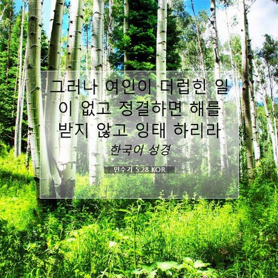 Picture 07 - 민수기 5:28 KOR - 그러나 여인이 더럽힌 일이 없고 - Bible Verse Picture
