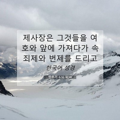 Picture 07 - 민수기 6:16 KOR - 제사장은 그것들을 여호와 앞에 - Bible Verse Picture