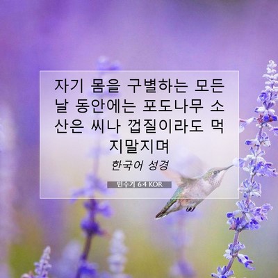 Picture 07 - 민수기 6:4 KOR - 자기 몸을 구별하는 모든 날 - Bible Verse Picture
