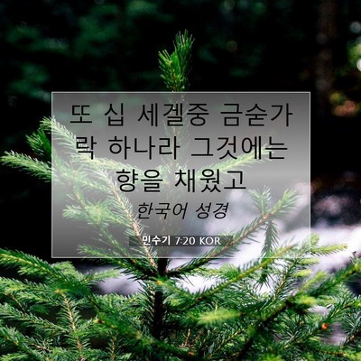 Picture 07 - 민수기 7:20 KOR - 또 십 세겔중 금숟가락 하나라 - Bible Verse Picture