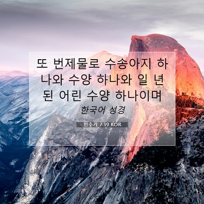 Picture 07 - 민수기 7:39 KOR - 또 번제물로 수송아지 하나와 수양 - Bible Verse Picture