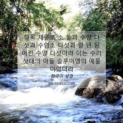 Picture 07 - 민수기 7:41 KOR - 화목 제물로 소 둘과 수양 다섯과 - Bible Verse Picture