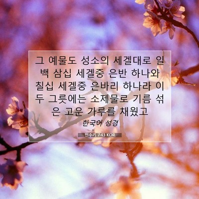 Picture 07 - 민수기 7:43 KOR - 그 예물도 성소의 세겔대로 일백 - Bible Verse Picture
