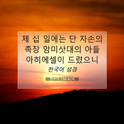 Picture 07 - 민수기 7:66 KOR - 제 십 일에는 단 자손의 족장 - Bible Verse Picture