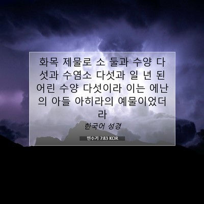 Picture 07 - 민수기 7:83 KOR - 화목 제물로 소 둘과 수양 다섯과 - Bible Verse Picture