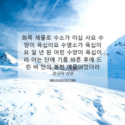 Picture 07 - 민수기 7:88 KOR - 화목 제물로 수소가 이십 사요 - Bible Verse Picture