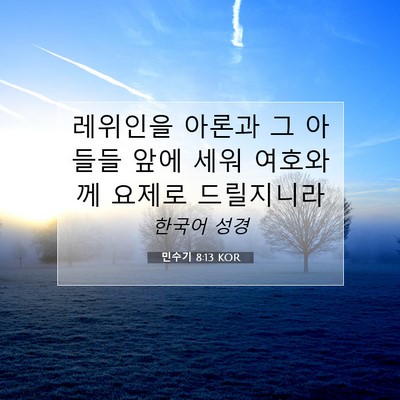Picture 07 - 민수기 8:13 KOR - 레위인을 아론과 그 아들들 앞에 - Bible Verse Picture