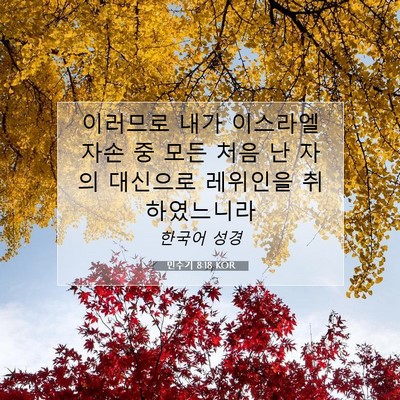 Picture 07 - 민수기 8:18 KOR - 이러므로 내가 이스라엘 자손 중 - Bible Verse Picture
