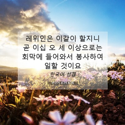 Picture 07 - 민수기 8:24 KOR - 레위인은 이같이 할지니 곧 이십 오 - Bible Verse Picture