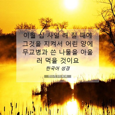 Picture 07 - 민수기 9:11 KOR - 이월 십 사일 해 질 때에 그것을 - Bible Verse Picture