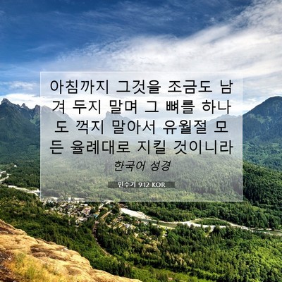 Picture 07 - 민수기 9:12 KOR - 아침까지 그것을 조금도 남겨 두지 - Bible Verse Picture