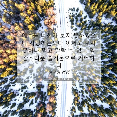 Picture 07 - 베드로전서 1:8 KOR - 예수를 너희가 보지 못하였으나 - Bible Verse Picture